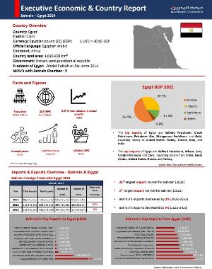 Country Report Egypt