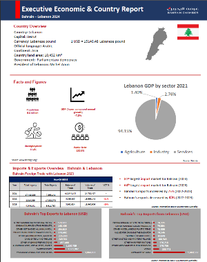 Country Report Lebanon