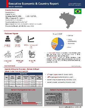 Country Report Brazil