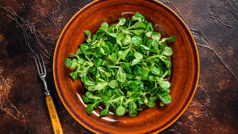 Purslane
